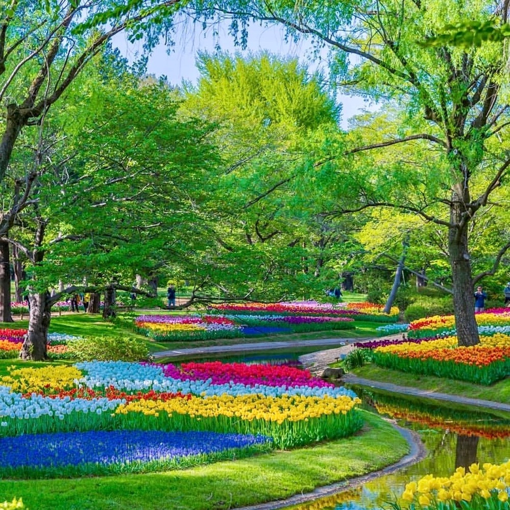 🧚‍♀️Meet Your Posher | Wendy🧚‍♀️